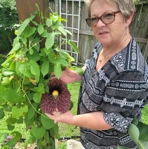 Meet your Posher, Donna